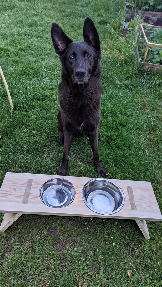 MyRyobi projects and style guide